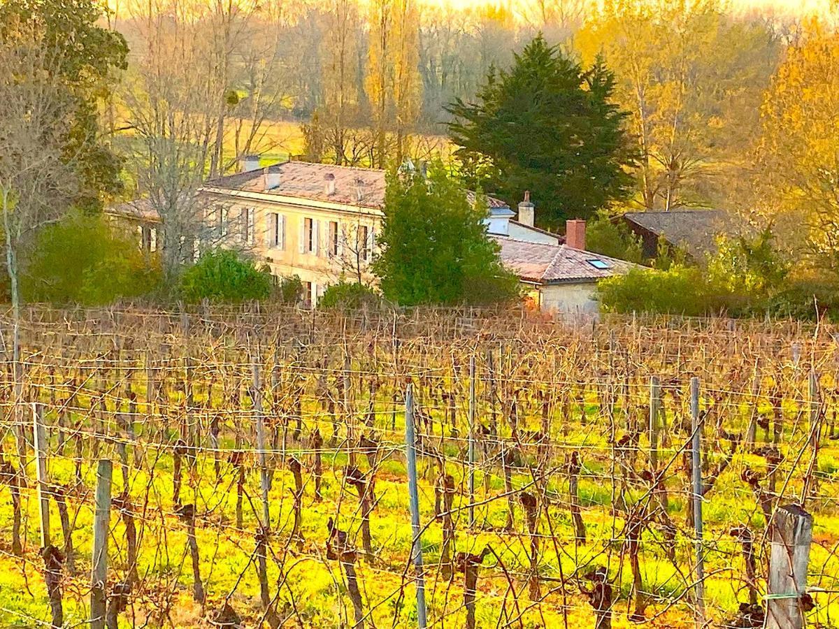 Fabuleux - Domaine Du Moulin D'Andraut Bordeaux-Chevaux-Golf-St Emilion Villa Montussan Eksteriør bilde