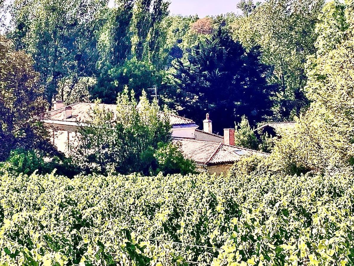 Fabuleux - Domaine Du Moulin D'Andraut Bordeaux-Chevaux-Golf-St Emilion Villa Montussan Eksteriør bilde