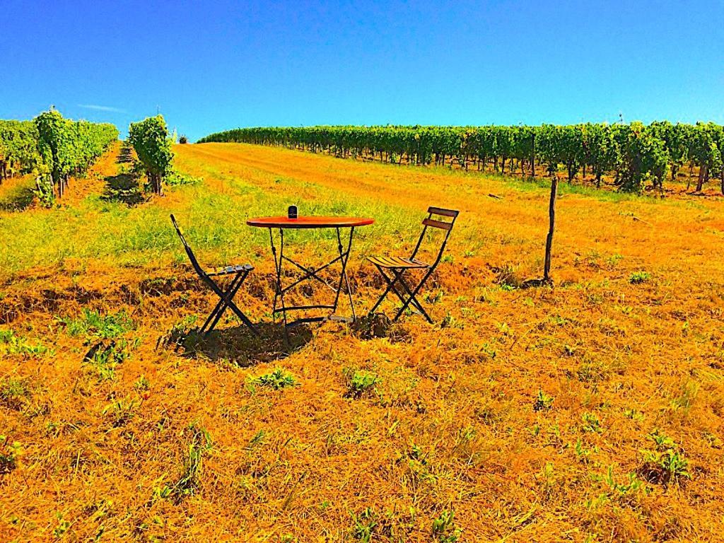Fabuleux - Domaine Du Moulin D'Andraut Bordeaux-Chevaux-Golf-St Emilion Villa Montussan Eksteriør bilde